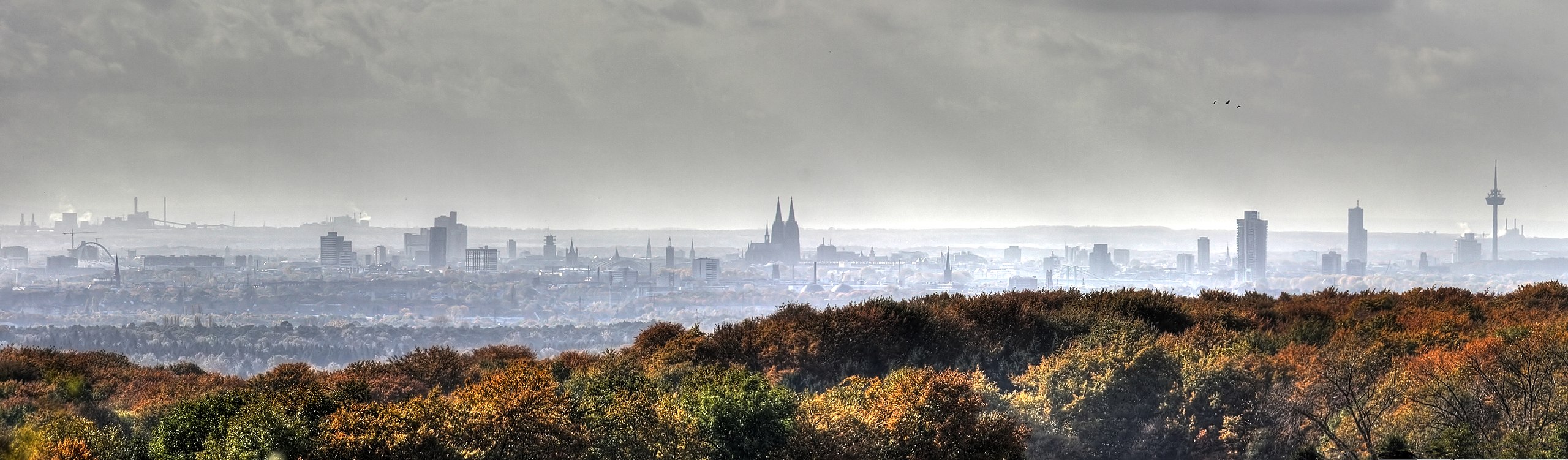 sehr breites Panorama der Stadt Köln, die im Regenwetter grau aussieht. Davor herbstlich gefärbte Bäume.