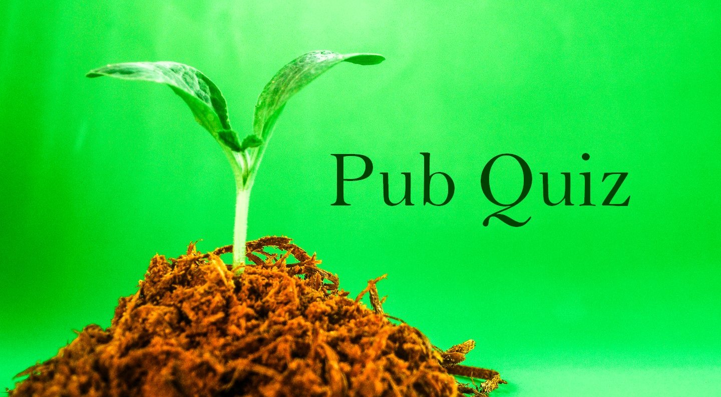 Plfanzenkeimling vor grünem Hintergrund, daneben die Wörter Pub Quiz
